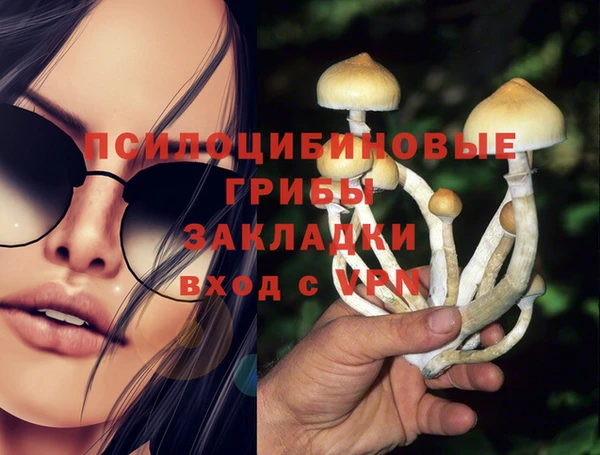 таблы Горняк