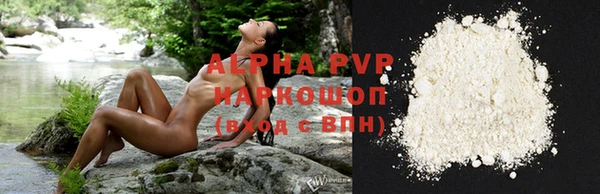 тгк Горно-Алтайск